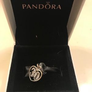 Pandora 30 charm